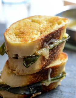 namelessin314:  sourdough grilled cheese with roasted poblanos, smoked cheddar and curried brown butter