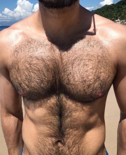 thebearunderground:  Follow The Bear Underground and check archives.Posting hot hairy men since 2010 to 14,000+ followers 