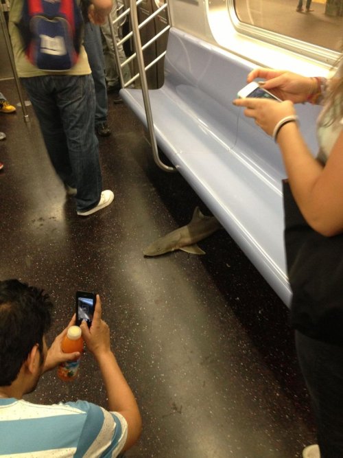 Schoolgirl on the subway
