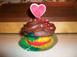 Rainbow Cupcakes, chocolate frosting was amazing!!!