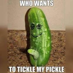 Everyone likes a little pickle tickle!!! 😏 🤣 😜 🥒 👌 #pickle #tickle #pickletickle #ticklemypickle #fuckyouitsfunny #fuckyouifyoureoffended #laughs #saturdaynight