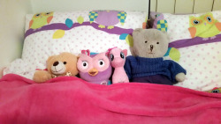 australiandaddy:  Benedict Bear, Hootabelle, Pinkie Pie and Snowy all need cuddles! 