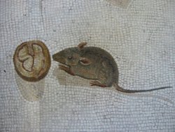 pagewoman: Mouse eating a walnut.   Roman mosaic from 200 BC. via Waldemar Januszczak 