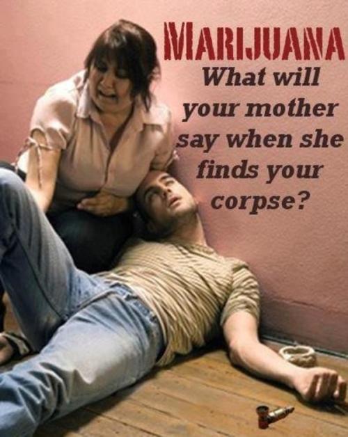 Image result for marijuana danger