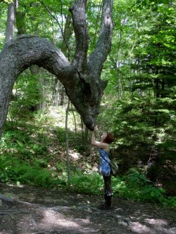 anerdydom:  saepphire:  kawaiimistake:  xelethaine:  mori-girl-life:  Saying Hello to the Dragon.  That is a fucking forest spirit and nobody will make me believe otherwise.   Full image here   ❁  Incredible. 