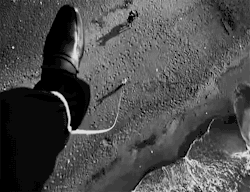  8½ (1963) - Federico Fellini  love Fellini films