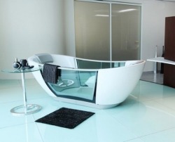 aboveallfailure:  sweetestesthome:  Smart Hydro smart bathtub keeps your bathwater from getting cold, cleans itself!  I’d so have sex with my significant other in that 