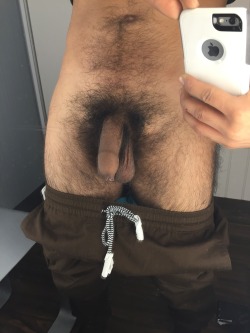 miamiboyz:  otterrstud:  Do you like my hairy cock?   Yes! Love to suck them    FREE VIDEOS - MiamiBoyz - WATCH HERE   Want to be on a porn site? Need a private nude photo session OR just need that cock sucked?  If you are in Los Angeles then hit us up