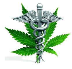 MEDICAL CANNABIS IS A GOOD CAUSE TO GET BEHIND, ESPECIALLY FOR PEOPLE LIKE ME WHO SUFFER EVERYDAY! GIVE US OUR DAMN MEDICINE! ITS TIME FOR CHANGE!