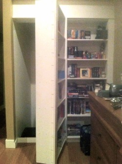letsallbeawkward:  mylifeasaweirdo:  wimeydoctor:  obsessivecompulsivefanboy:  peekinq:  sarajxne:  When two brothers were playing in their new house, they bumped into what they thought was a bookshelf. Instead, the bookshelf moved, revealing a secret