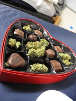 marca-acmee:  sativa-mermaid:  Give this to your girl 👌  me caso altoque&lt;3