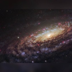 NGC 7331 Close-Up #nasa #apod #esa #hubble #ngc7331 #spiralgalaxy #constellation #pegasus #gas #dust #stars #galaxy #intergalactic #interstellar #universe #space #science #astronomy