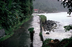 20aliens:GRENADA. 1979. A leaf is used as an umbrella along the northwest coast of Grenada. Alex Webb.