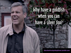 &ldquo;Why have a goldfish when you can have a silver fox?&rdquo;