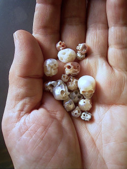 sixpenceee:  Perfectly carved, tiny skulls made from pearls. Artist: Shinji Nakaba 