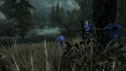 skyrim-photography:  Marshes Near Morthal- Skyrim-Photography  Requested by: thementorking
