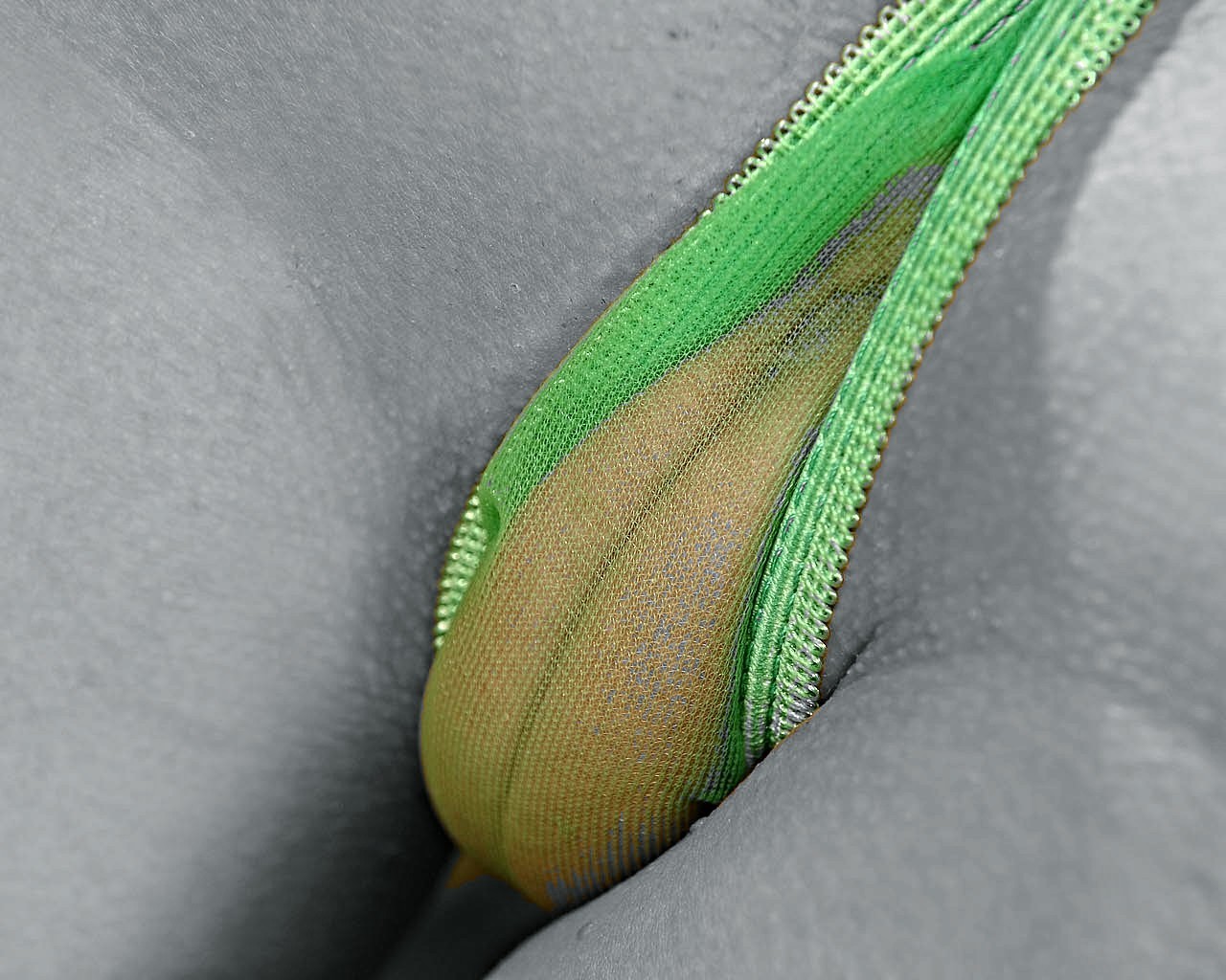 See through green thong