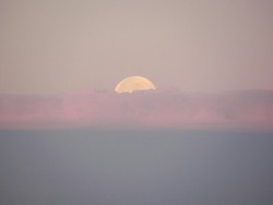 sleepyfoxez:  the moon was pretty in the morning. 