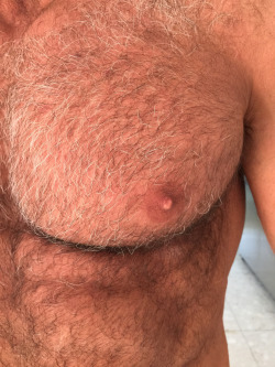 iammegadaddyissues:  My soft, moist lips clasp gently down around the thick, hard mound of His hairy pec. The matt of silver hair feels coarse against my mouth.  Opening wide, i suckle hungrily without shame, running my tongue around His hardened nipple.