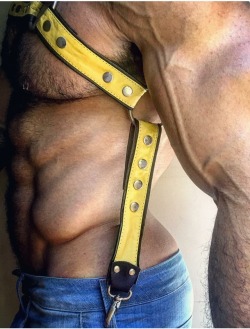 bbfan:  Pedrao…Perfect Combination of Muscle and Fur!