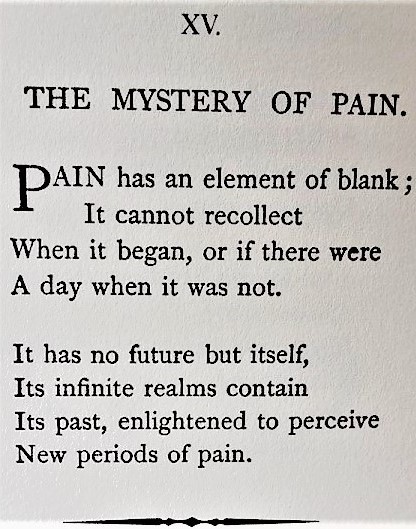 aloneandforsakenbyfateandbyman:   The Mystery of Pain by Emily Dickinson (1830–86)    