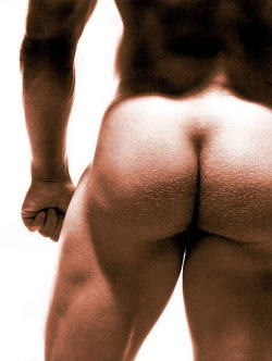 A perfect ass.