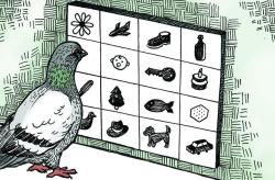 neurosciencestuff:Pigeon powerThe more scientists study pigeons, the more they learn how their brains—no bigger than the tip of an index finger—operate in ways not so different from our own.In a new study from the University of Iowa, researchers found