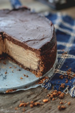 delicious-designs:  peanut butter cheesecake 