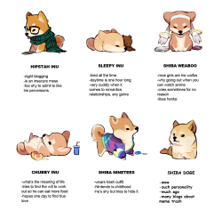 lillayfran:  Reblog and tag yourself! What’s the level of your cuteness?   i choose doge, cuz dank memes