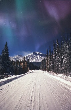  Northern Lights Over a Snowy Road by Carson Ganci 