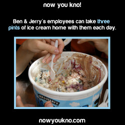 nowyoukno:  Now You Know more about Ben &amp; Jerry’s! (Source)   Can I work at Ben &amp; Jerry&rsquo;s??