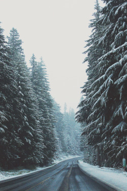 canislupvs:  endless snowy road – by: Analog Sylvain