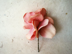 laizieh:  fernfiddlehead:  Peachy Pink Hydrangea Bobby Pin. Fabric Flower Hair Pin. Bouquet Hair Clip in Blush Pink for Brides, Bridesmaids, Flower Girls. by PiggleAndPop (14.00 USD) http://ift.tt/1gAdoSE  (｡◕‿◕｡) Indie|Bambi (｡◕‿◕｡)