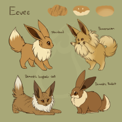 cheeziesart:  Eeveelution variations!PLEASE DO NOT REPOST OR REDISTRIBUTE ON OTHER WEBSITESThroughout the years I’ve seen so many headcanons for the eeveelutions, many of which based the Eevees off of just one animal or a mix of them so I decided to