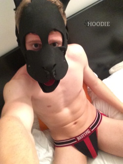 puphoodie:  Two new jockstraps for the pup means all sorts of fun! ;) *wags*Find me on Twitter here!