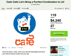 kurloz-the-spooky-scary-skeleton:  I don’t know why I haven’t seen this kickstarter all over tumblr yet. Basically Catfe is a cat cafe, like the ones in Japan, that is trying to start up in Los Angeles, CA. They’ve already got the OK from LA department
