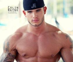 maleros:  MALEROS  Colin Wayne  -  just stop and stare  