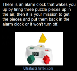 vancity604778kid:  artificial-admin:  ultrafacts:  Source See more facts HERE  mY CHILDHOOD FEAR WAS A GAME LIKE THIS  There is also one called “Clocky”, an alarm clock that runs away and hides if you don’t get out of bed on time. When the alarm