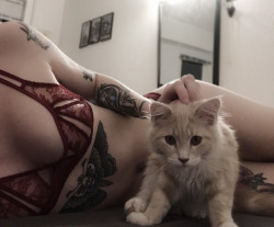 dumb-y0uth:Had a cuddle with my cat in pretty lingerie to cheer myself up.