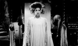 babeimgonnaleaveu:    Elsa Lanchester in The Bride of Frankenstein (1935)  