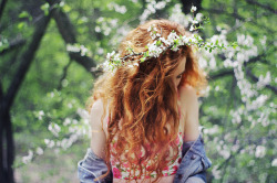 westerus:  Hello Dear Spring by Everything is magic on Flickr. 