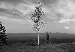 nadi-kon: “I don’t understand you. Yet now I beg your forgiveness. I know no other way to be reconciled with my own hands. I know no other way to live.”   The Virgin Spring (1960) dir. Ingmar Bergman 