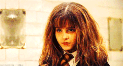 acekongcarter:  spoken-not-written:  oopsphan:  darlinghogwarts:  In the books, Hermione’s boggart is failing her classes. Her greatest fear is failing her classes. However, it goes a lot deeper than that. Subconsciously, I think she believes that if