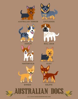 lepetitdragon:  chrc:  ivyarchive:  mymodernmet:  Illustrator Lili Chin&rsquo;s adorable series Dogs of the World illustrates 192 breeds of dogs grouped according to geographical origin.  More:             I WAS REALLY SAD BECAUSE I THOUGHT THEY’D