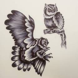 Owls. #ink #blackandgray #art #drawing #owls  (at Empire Tattoo Quincy)