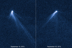 spaceplasma:  Hubble views extraordinary multi-tailed asteroid P/2013 P5  These NASA/ESA Hubble Space Telescope images reveal a never-before seen set of six comet-like tails radiating from a body in the asteroid belt and designated P/2013 P5. The asteroid