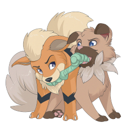 sugarcuppony: Wanted to draw the new pokemon Iwanko that will be in pokemon moon/sun.  And it felt like iwanko and growlithe would be great puppy playmates :D   Ahhhh too cute &lt;3