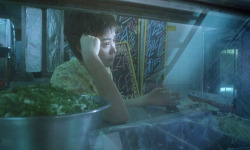 film-cult:  Chungking Express (1994) dir. by Wong Kar-wai
