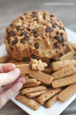 guardians-of-the-food:Peanut Butter Cheese Ball