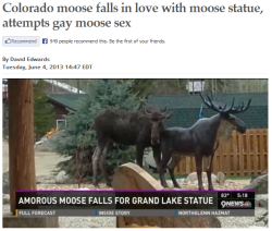 imgoingtomymindpalacenow:  hopelesslyhiddled:  chekhov:  yall:  meladoodle:  i want a relationship like this  How do they know its gay..  They both have antlers! #MooseFunFacts  wait for it    well&hellip;um&hellip;how to explain this..